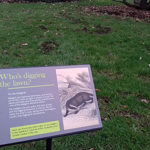 Badger signs - Royal Botanic Gardens, Kew
