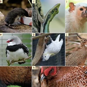 December Photo Quiz Answers
