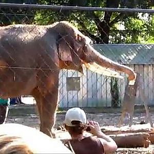 Two Tails Ranch November 2010 - YouTube