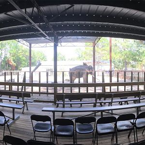 Elephant Show Seating Area
