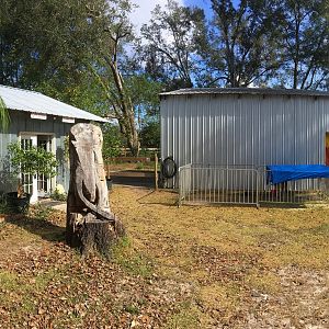 Museum/Gift Shop, Luke Carving & Barn