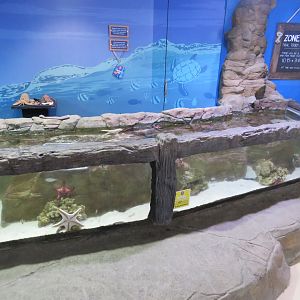 Half of the touch tank area