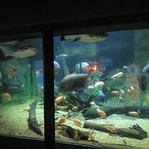 Second Tank in freswater zone