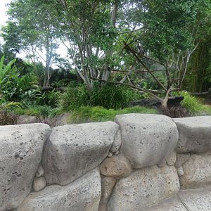 Red Panda Exhibit
