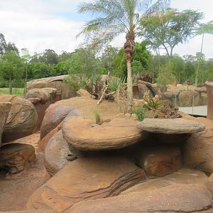 Meerkat Exhibit