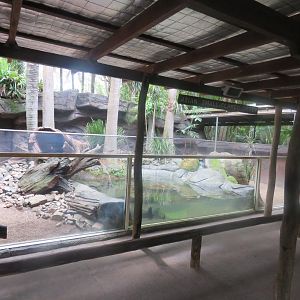 Otter Exhibit