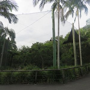 Wedge Tailed Eagle Exhibit