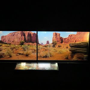 Gila Monster Exhibit