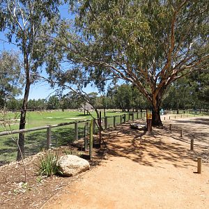 Main Black Rhino Exhibit