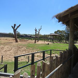 Asian Elephant Exhibit