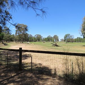Southern White Rhino Enclosure