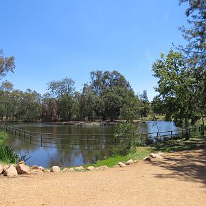 Hippo Enclosure