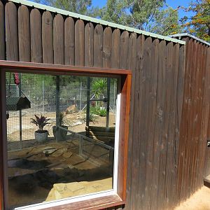 Giant Tortoise Nursery