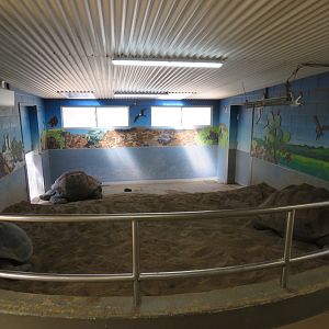 Galapagos Giant Tortoise Viewing Area