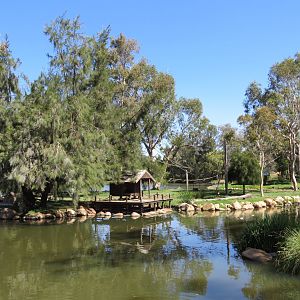 Spider Monkey Island