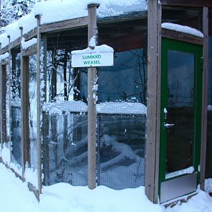 Ranua Wildlife Park - Mustelids outdoor enclosures