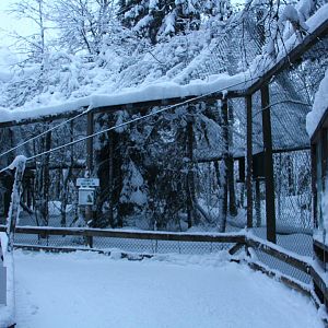 Ranua Wildlife Park - Raptor aviaries