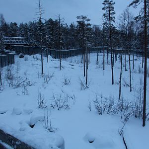 Ranua Wildlife Park - Brown Bear enclosure