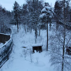 Ranua Wildlife Park - Eurasian Lynx enclosure