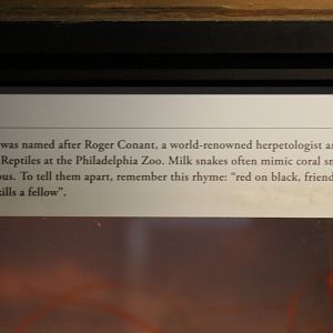 Conant's Milk Snake Signage