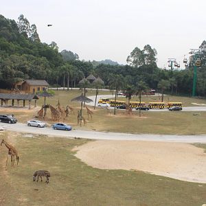 African savanna from cable car