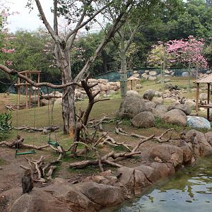 Monkey exhibit