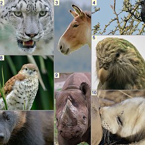 Christmas Photo Quiz wider views