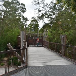 Kangaroo Country via Koala Forest