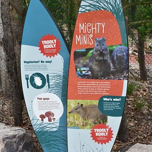 Signage: "Mighty Minis"