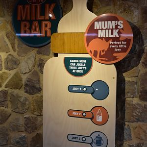 Signage: "Milk Bar"