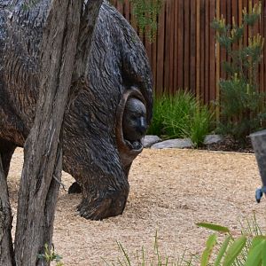 Diprotodon Joey in pouch