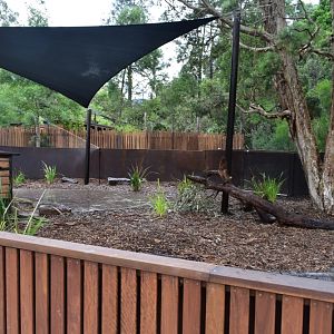 Wombat Enclosure