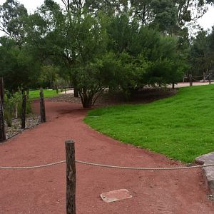 Red Kangaroo Enclosure