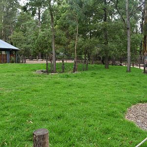 Kangaroo Island Kangaroo Enclosure