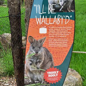 Signage: "I'll be Wallaby'd"