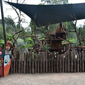 Tree Kangaroo Enclosure