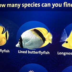 Digital Sigange example