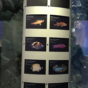 Physical signage example