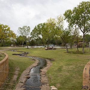 African Elephant Exhibit Second Yard