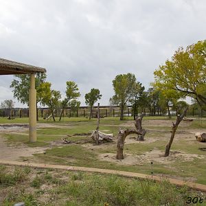 African Elephant Exhibit Second Yard