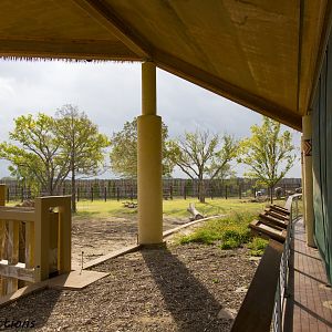 African Elephant Exhibit Second Yard