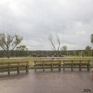 African Elephant Exhibit Second Yard