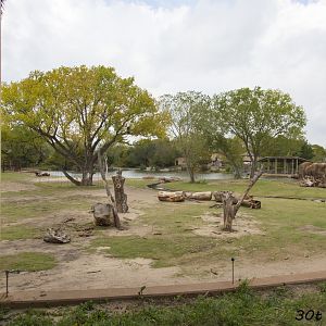 African Elephant Exhibit Second Yard