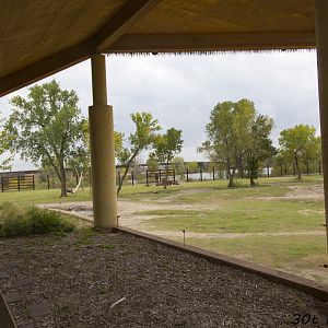 African Elephant Exhibit Second Yard