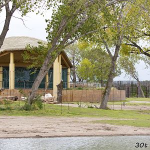 African Elephant Exhibit Second Yard