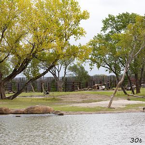African Elephant Exhibit Second Yard