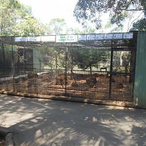 Birds of the Inland Region aviary