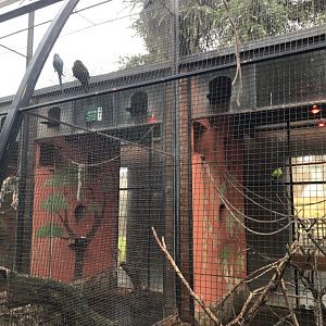 Conure enclosure