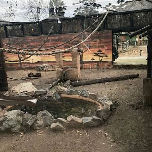 Barbary macaque enclosure (1st pic)