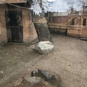 Barbary macaque enclosure (2nd pic)